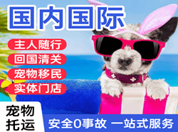 金昌金川机场物流国际宠物托运 【国